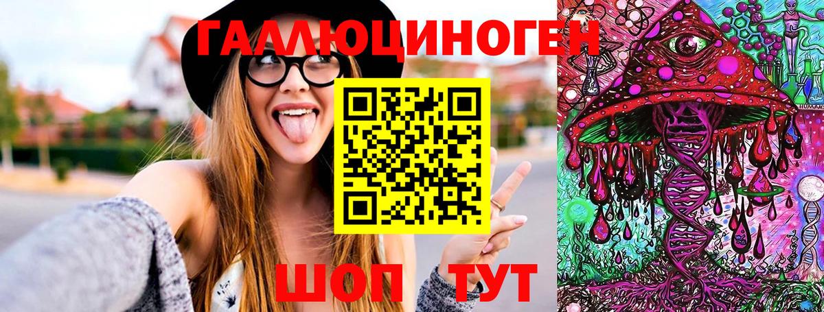 Псилоцибиновые грибы Psilocybe Ижевск
